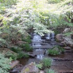 IMG_0708