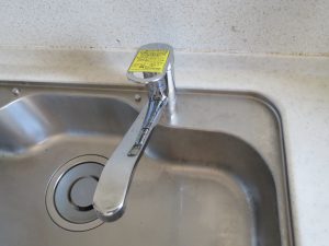 IMG_0825